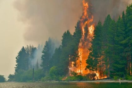 Una mujer allanada por incendios en Chubut negó tener relación y recordó su tragedia personal