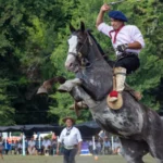 El jinete de Ayacucho evoluciona favorablemente y será trasladado a su ciudad