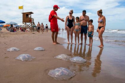 Aguas vivas provincia de Buenos Aires