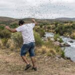 Conmoción en Córdoba por la muerte de un hombre tras un ataque masivo de abejas