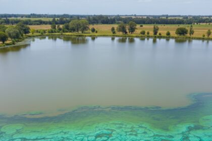 cianobacterias lagunas provincia de buenos aires