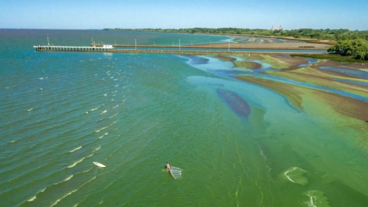 Alerta naranja y roja por cianobacterias en lagunas y ríos de la provincia de Buenos Aires