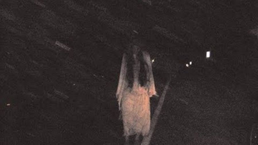 Aseguran haber visto a "la llorona" en sunchales, santa fé