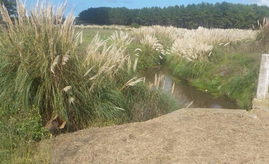 Exhumarán el féretro donde habían enterrado al nene mutilado