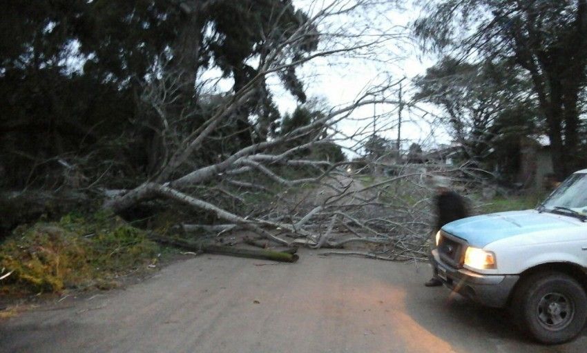 Gral. Madariaga: el viento provocó voladuras de techos, caída de árboles y corte general de luz