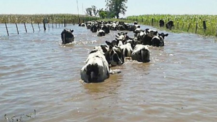 La defensoría fue a la corte para evitar que santa fe inunde territorio bonaerense