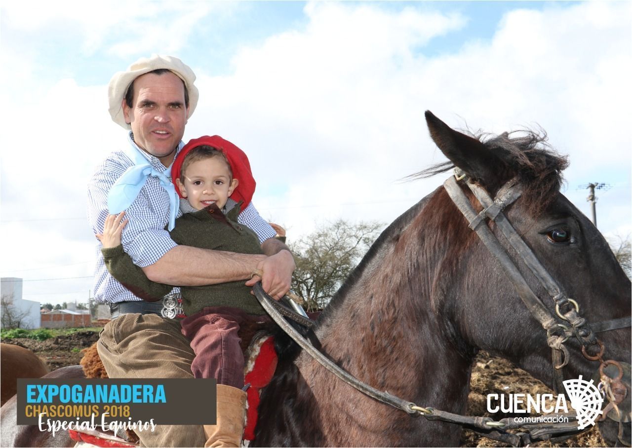Chascomús: excelente apertura de expoganadera especial equinos
