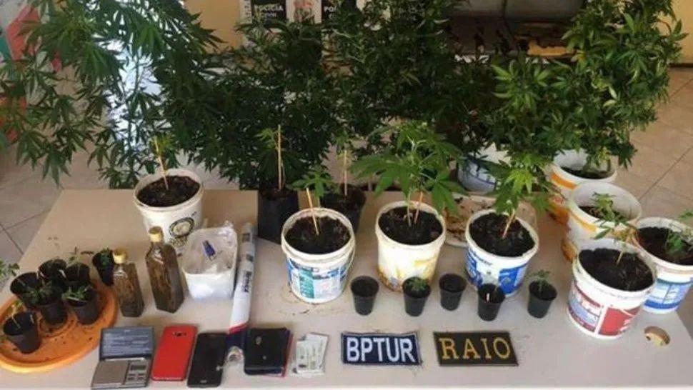 Detienen a argentino por vender marihuana a turistas en playas de brasil