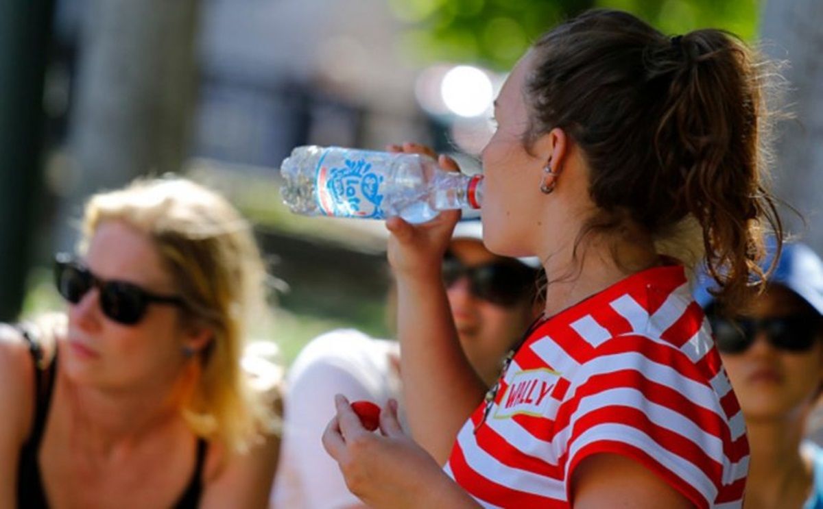 verano calor pronostico clima