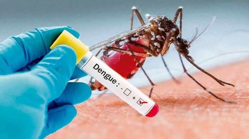 Quilmes: confirmaron dos casos de dengue y hay otros dos pacientes en "estudio"
