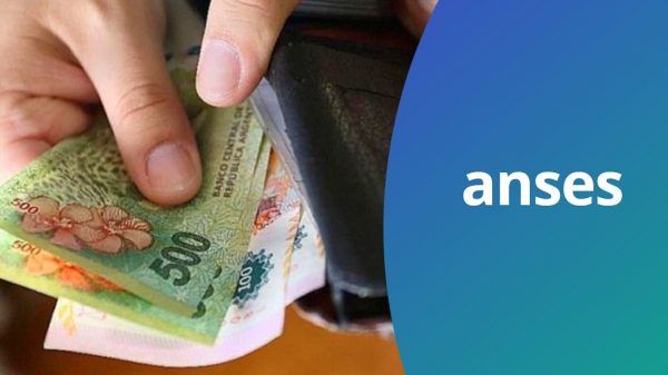 Anses Calendario de pago