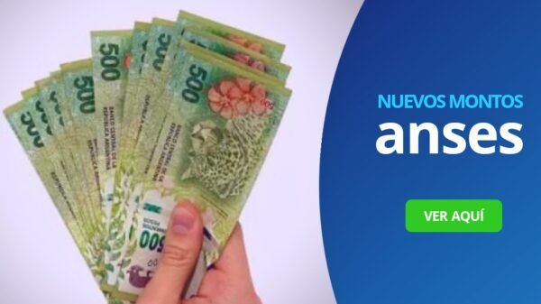 Nuevos montos septiembre asignaciones AUH AUE SUAF anses