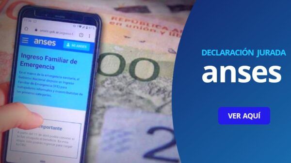 Declaración Jurada IFE Anses