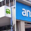 Pensiones discapacidad IPS Anses