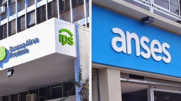 Pensiones discapacidad IPS Anses