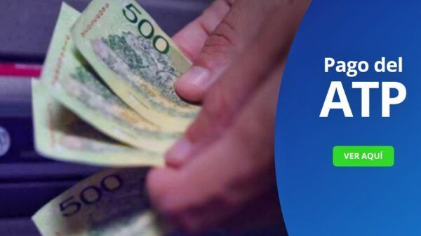 ATP noviembre cobro anses
