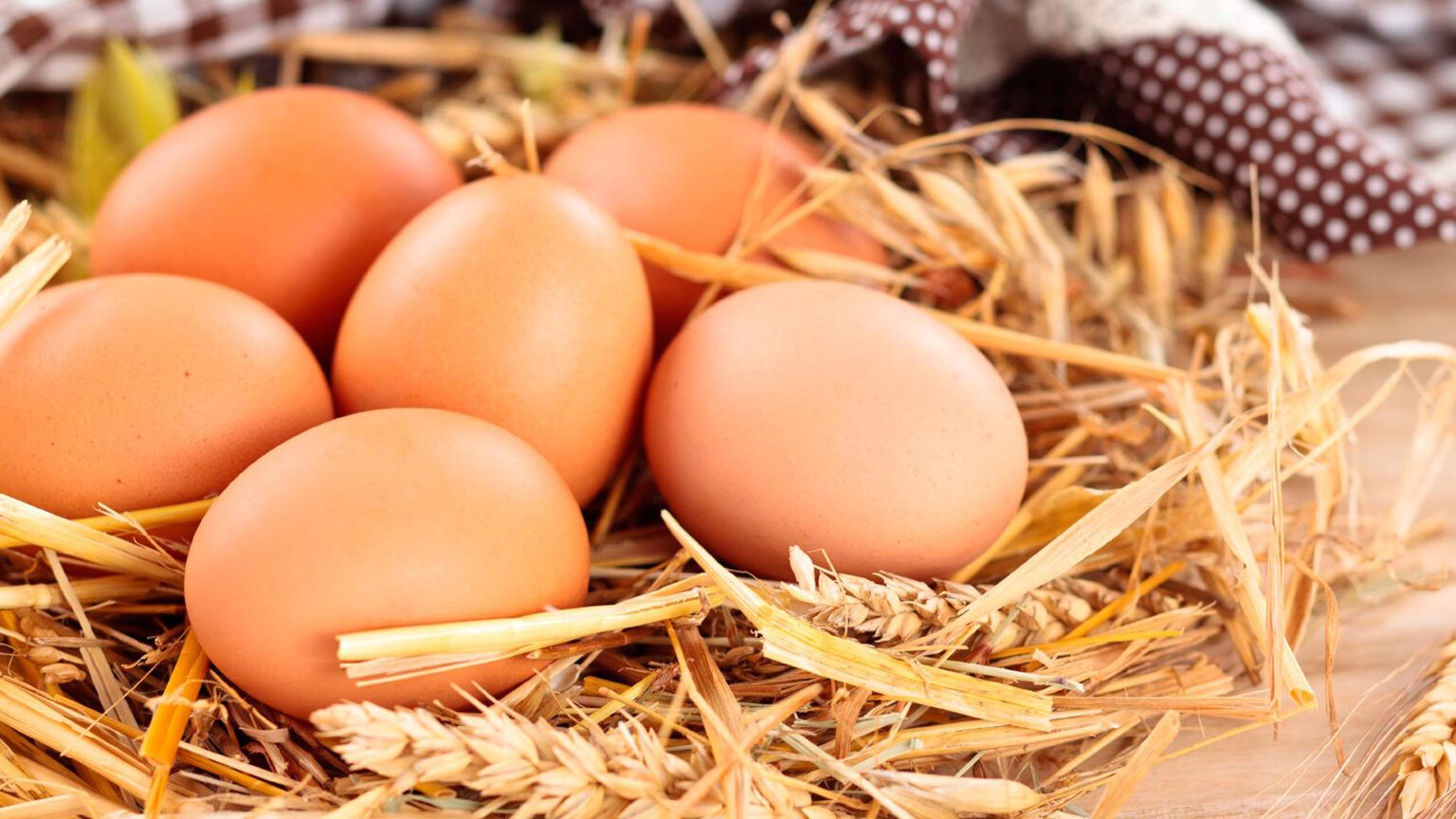 Semana mundial del huevo: 10 motivos por el que es importante consumirlo