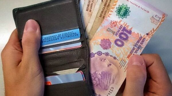 Bono IFE reemplazo planes Anses