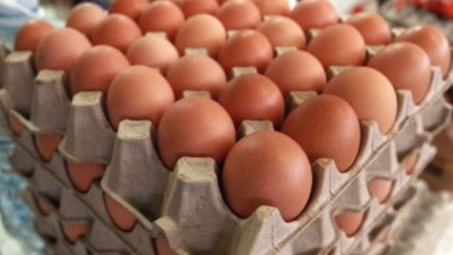 Alerta: detectan huevos no aptos para su consumo en la provincia