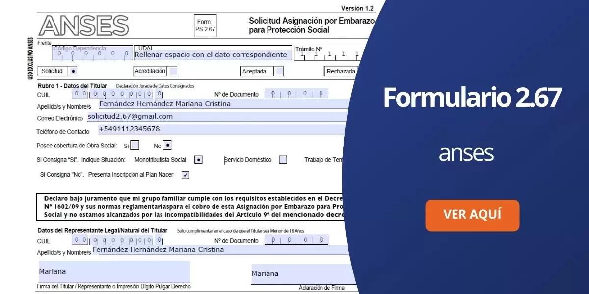 Formulario 267 ANSES