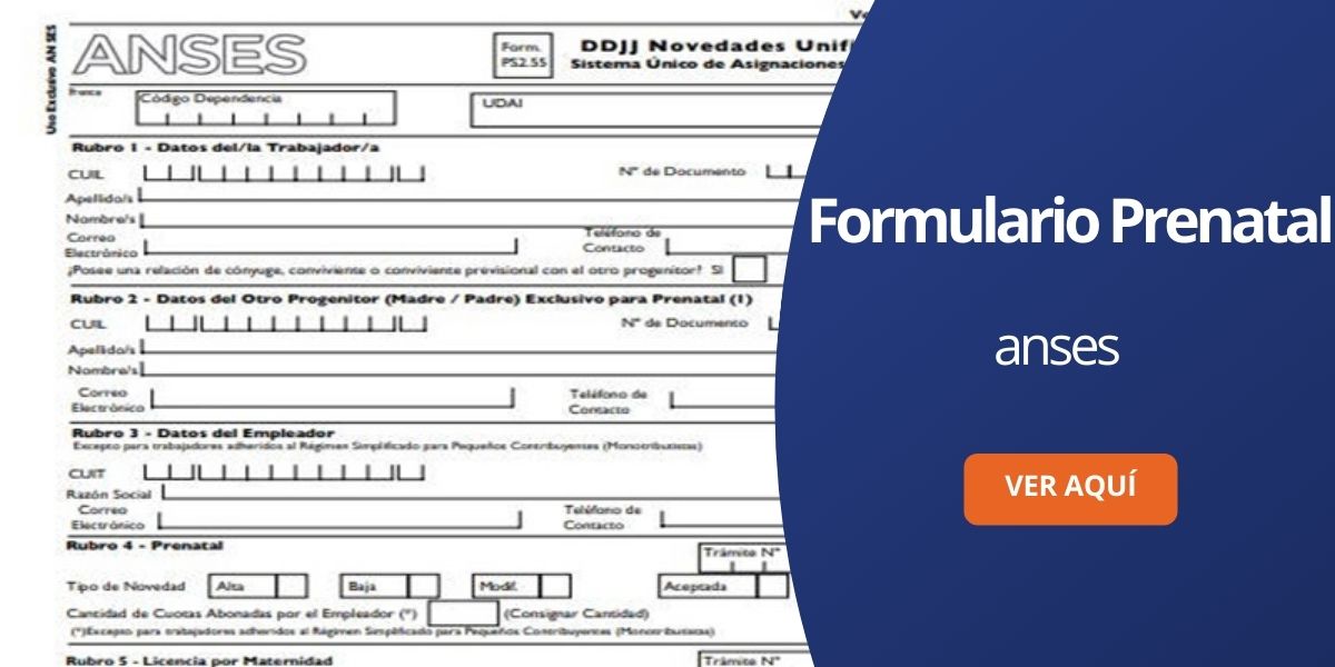 Formulario prenatal ANSES