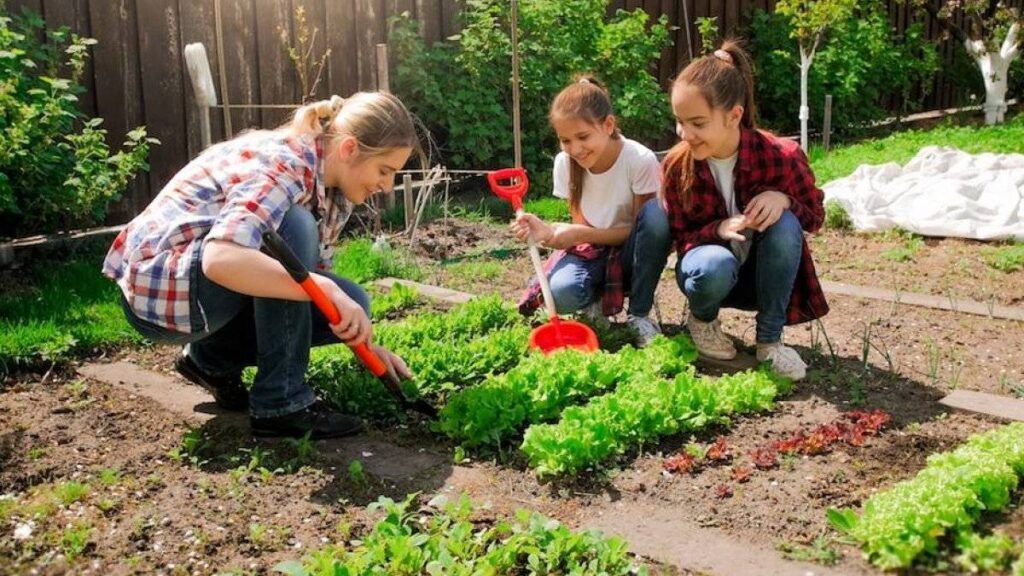 ᐈ ¿Qué sembrar en septiembre en Argentina? Huerta 2023