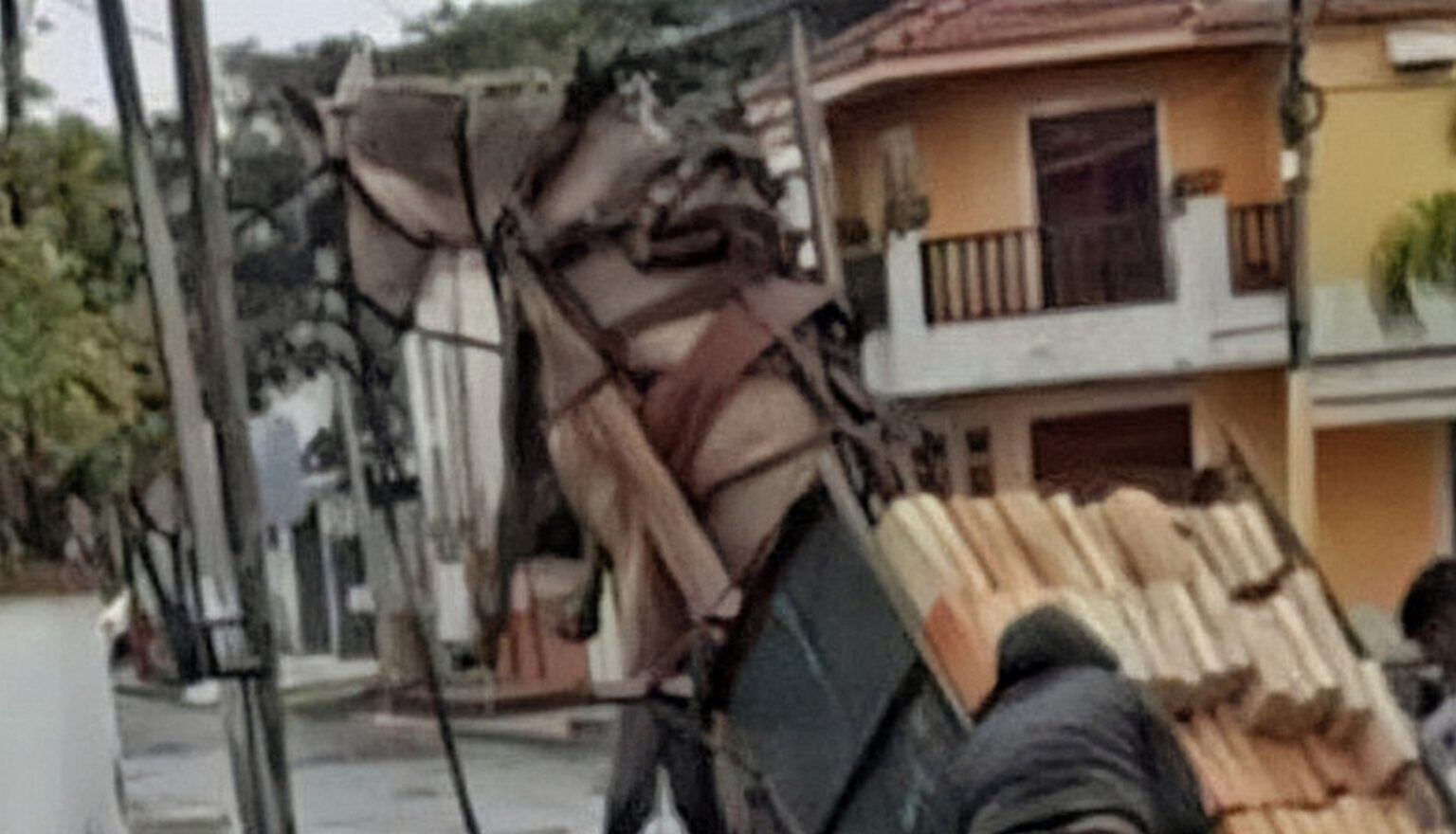 Santiago del estero: un caballo murió "colgado" tras llevar un pesado carro con ladrillos