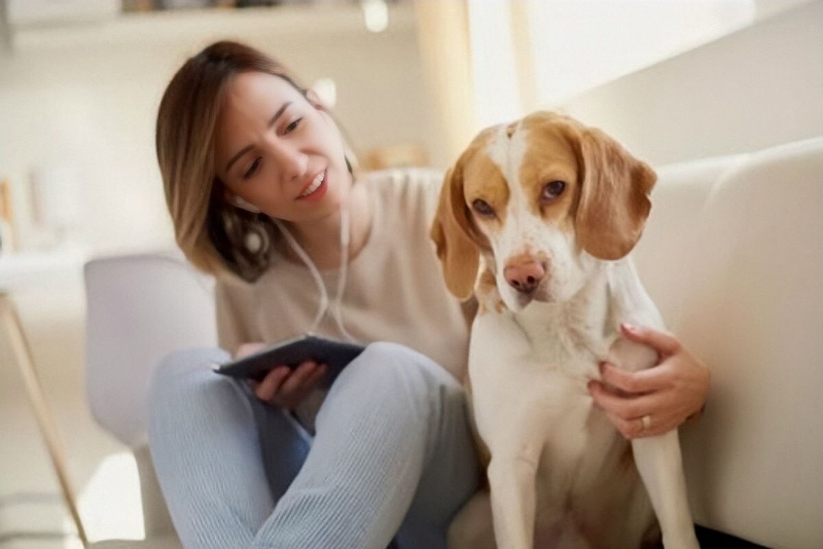 Cuánto sale castrar un perro en Argentina 2021