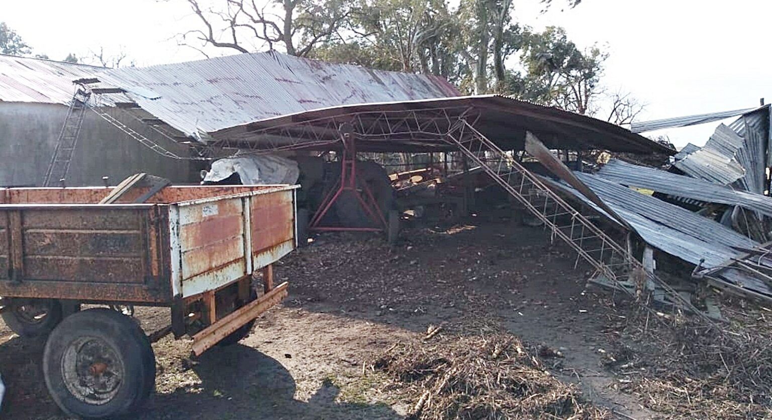 Castelli: el fuerte viento provocó importantes daños en la zona rural