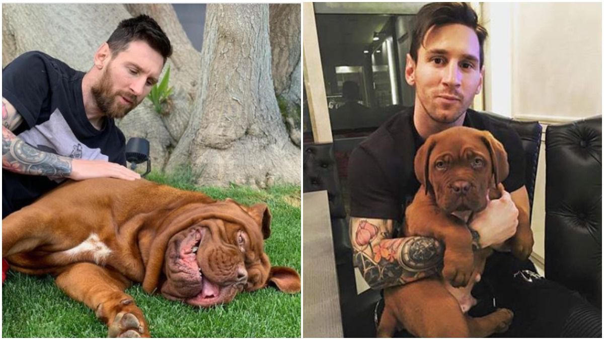 hulk-perro-de-messi