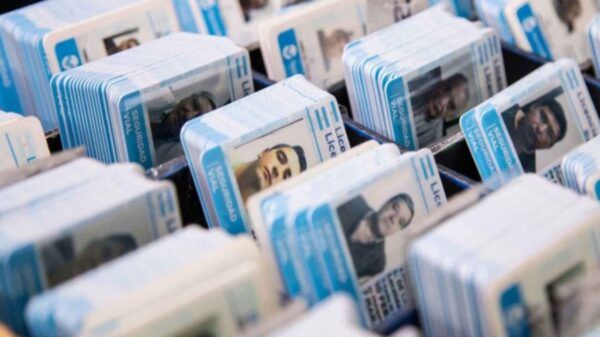 carnet-conducir-turnos-mar-del-plata