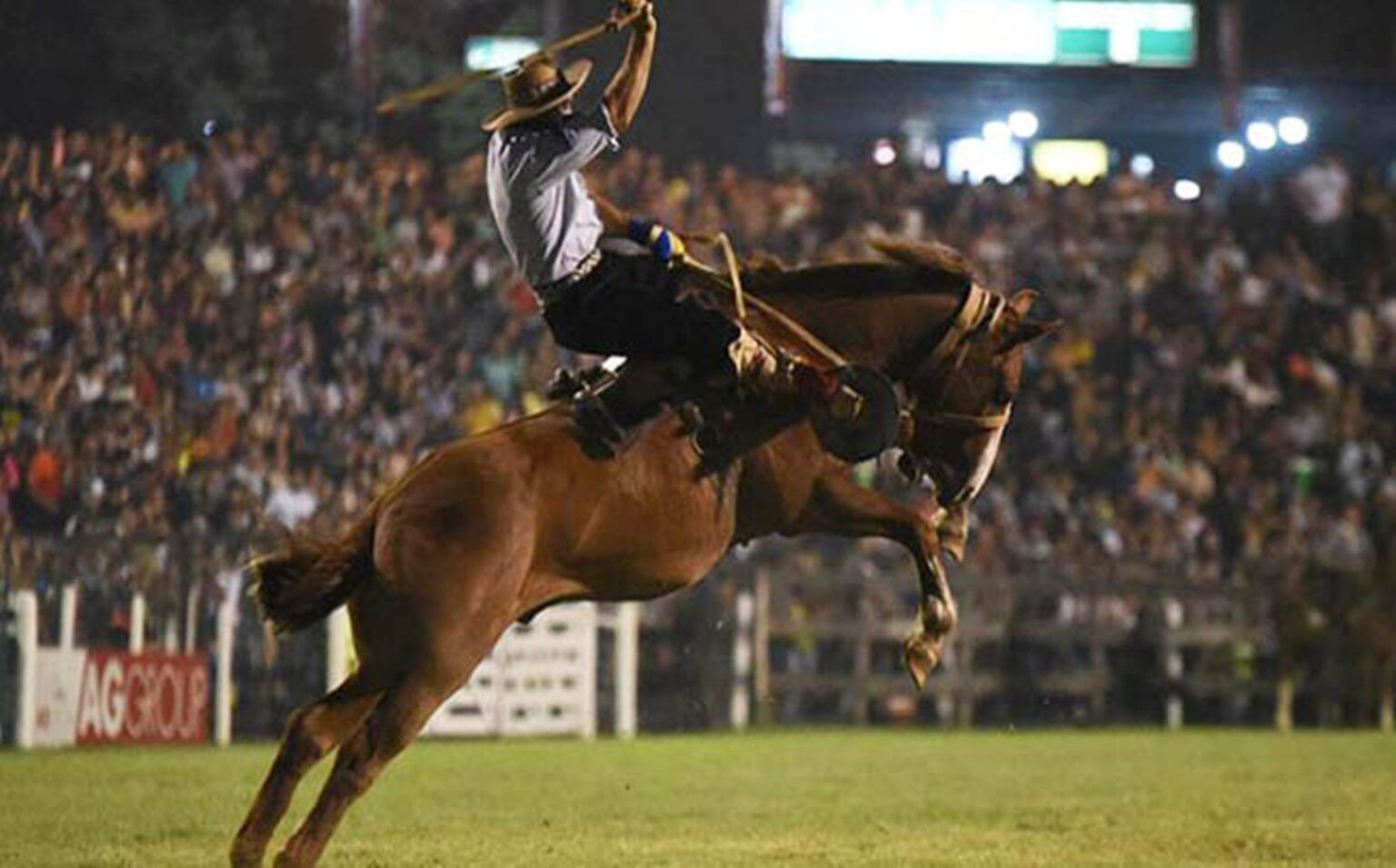 Los jinetes deberán usar casco y chaleco para la doma en el festival de jesús maría