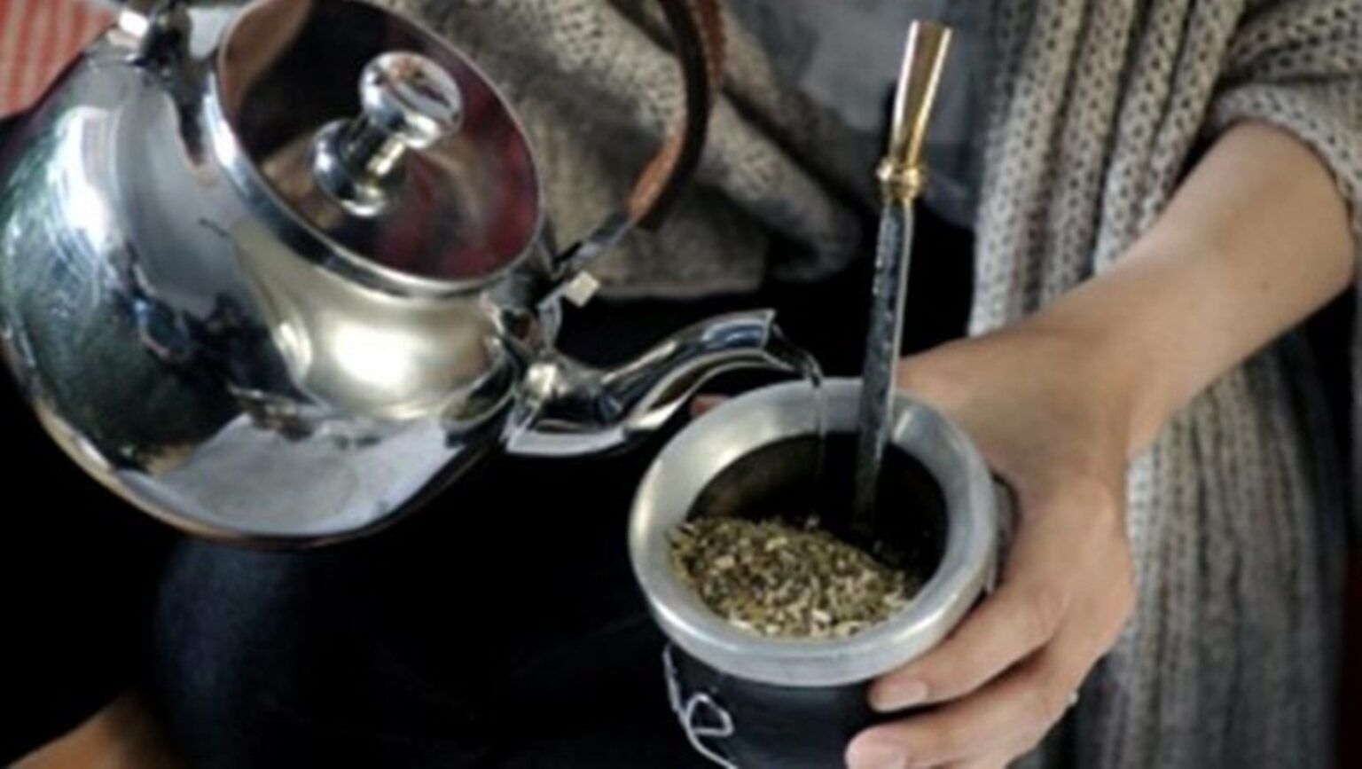 Yerba mate