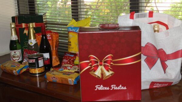cajas-navideñas-anses-2021-auh