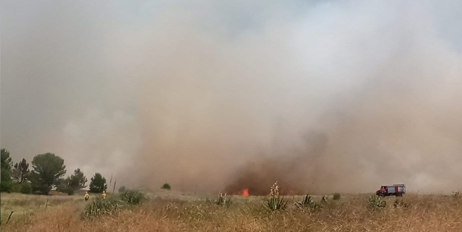 Quince dotaciones de bomberos combaten gigantesco incendio forestal en villa gesell