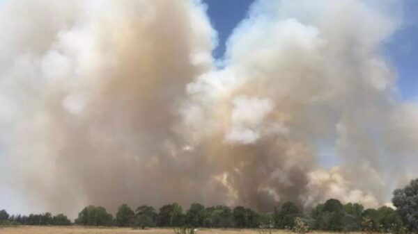 incendio-canning-hoy