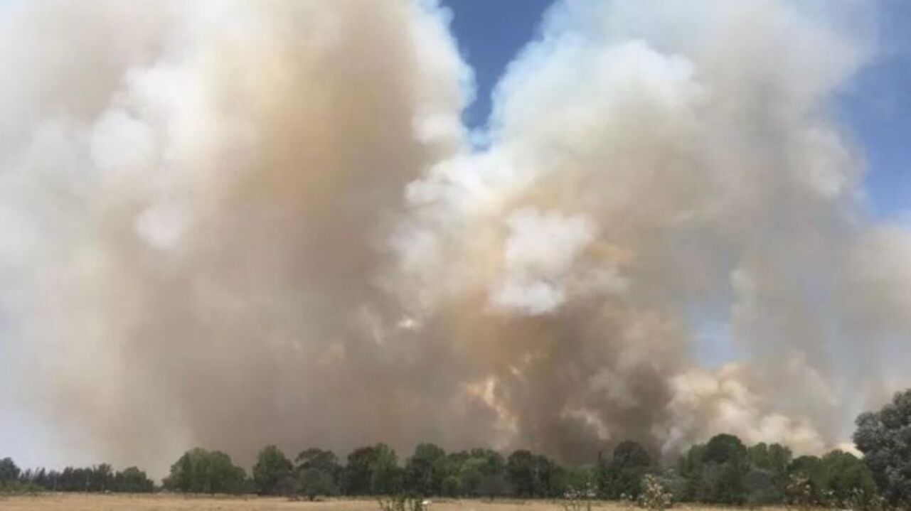 incendio-canning-hoy