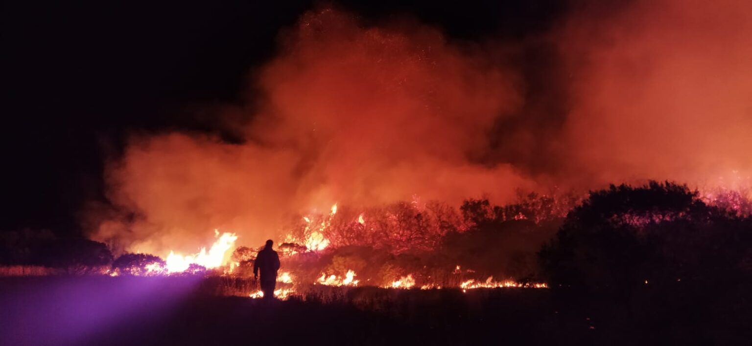 Tremendo incendio en un monte cercano al vivero dunícola de miramar