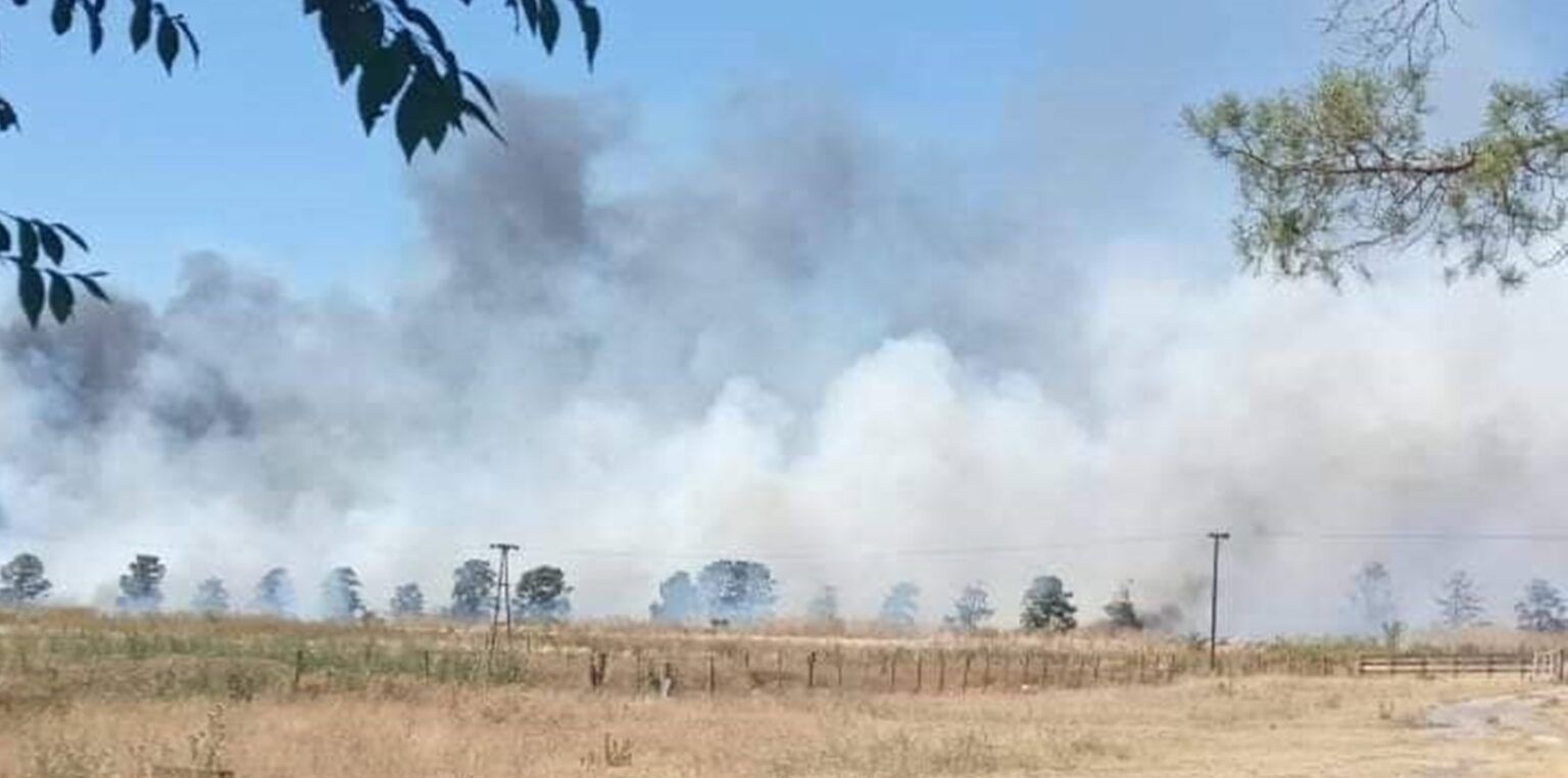 Ruta 20: bomberos de chascomús, lezama y ranchos combaten un gigantesco incendio forestal