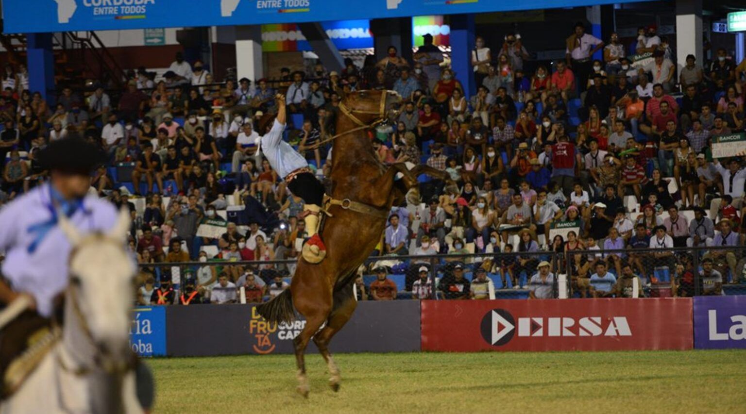 Festival de jesús maría 2026: cómo ver en vivo por tv pública y la grilla completa de artistas