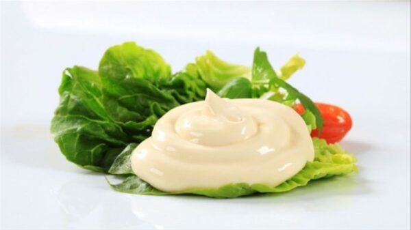 mayonesa-anmat