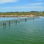 Emiten alerta naranja para once municipios bonaerenses por la presencia de cianobacterias