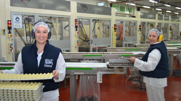 oferta-empleo-en-nestle-argentina-trabajo