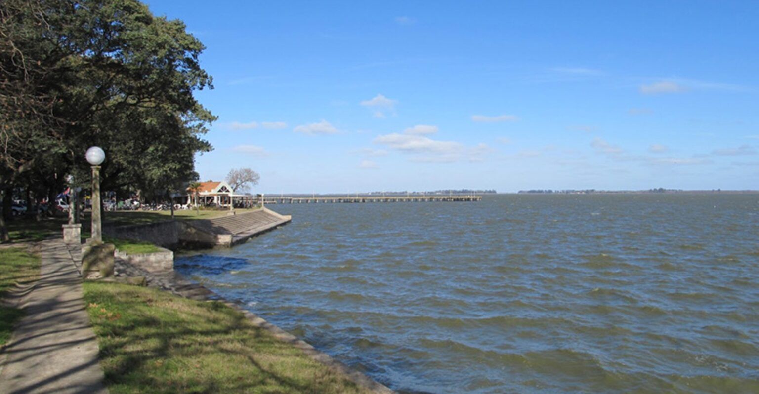 Chascomús: emitieron alerta amarillo por la presencia de cianobacterias en la laguna