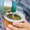 yerba-mate-cancer-estudio