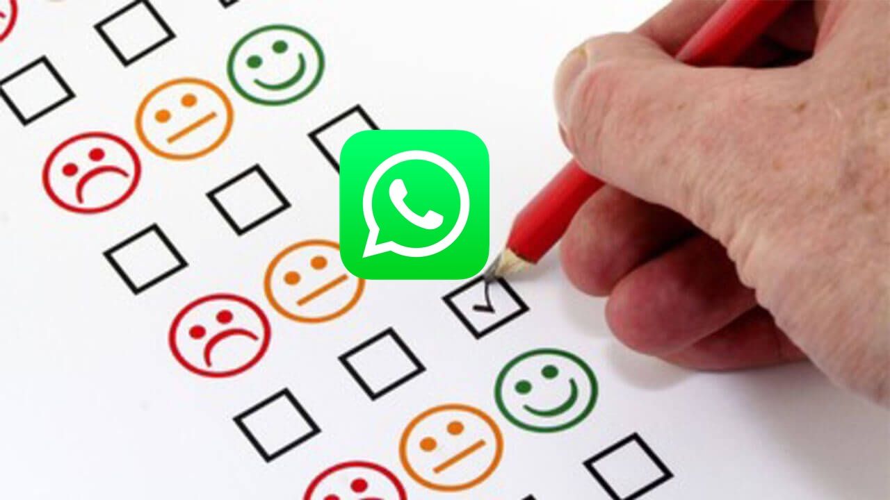 encuestas-whatsapp