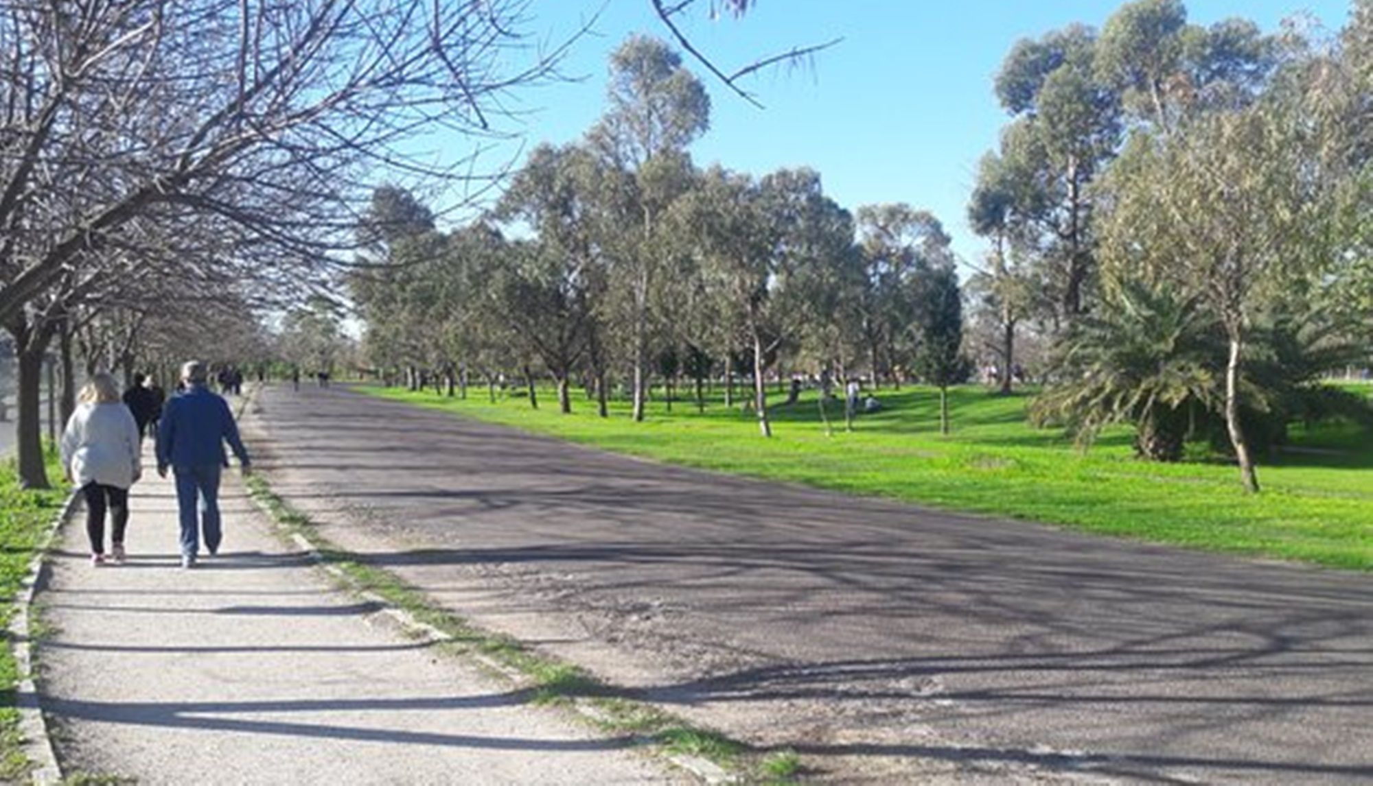 Domingo soleado; pero ¿vuelven las lluvias? Así estará el clima