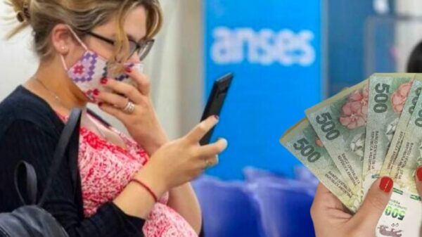 pago-suaf-anses-2022