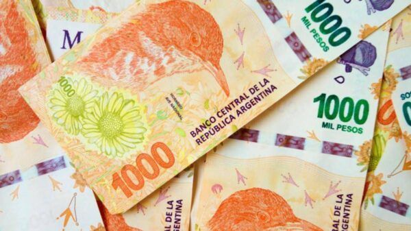 nuevo bono anses jubilados