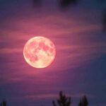 Luna rosa 2026: a qué hora es el punto máximo esta noche en argentina y los mejores lugares para verla